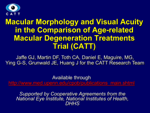 Macular Morphology and Visual Acuity in the Comparison of Age-related Trial (CATT)
