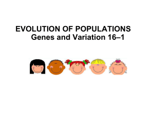EVOLUTION OF POPULATIONS –1 Genes and Variation 16 Section Outline