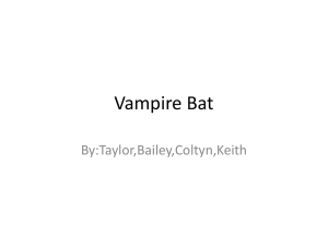 Vampire Bat By:Taylor,Bailey,Coltyn,Keith