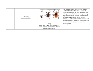 Deer ticks are one of three types of ticks in