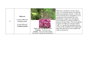Milkweed is considered a noxious (toxic)
