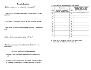 Pre-Lab Questions  3.  Complete the table with your observations: