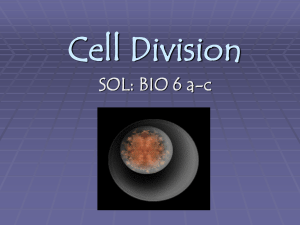 Cell Division SOL: BIO 6 a-c