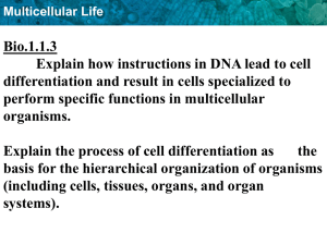 Bio.1.1.3 Explain how instructions in DNA lead to cell