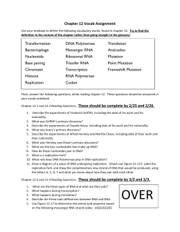 Essay on dna