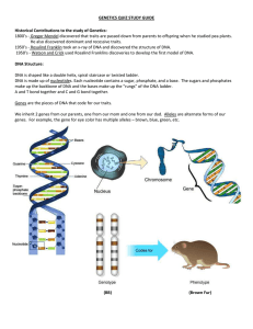 GENETICS QUIZ STUDY GUIDE Historical Contributions to the study of Genetics: