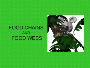 FOOD CHAINS FOOD WEBS AND