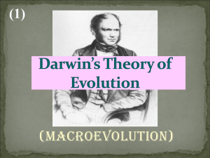 (Macroevolution) (1)