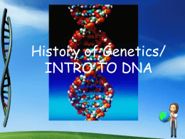 Dna homework questions