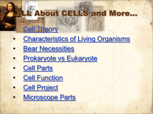 ALL About CELLS and More…