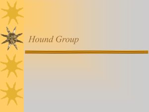 Hound Group