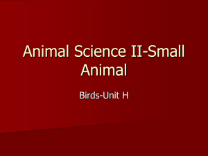 Animal Science II-Small Animal Birds-Unit H