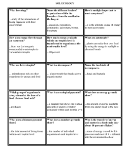 Homework help vocab