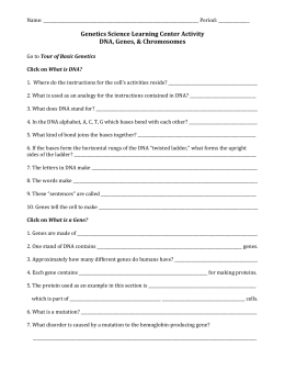 Printables Onion Cell Mitosis Worksheet onion cell mitosis worksheet vintagegrn worksheets for school kaessey
