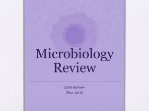 Microbiology Review EOG Review May 12-16