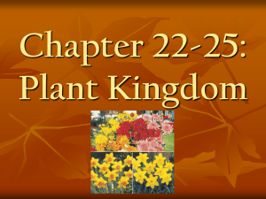 Chapter 22-25: Plant Kingdom