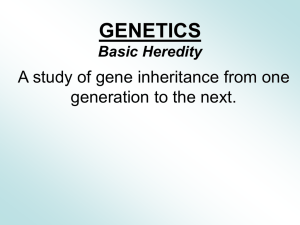 GENETICS A study of gene inheritance from one generation to the next.