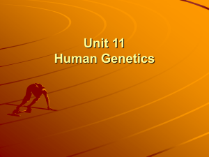 Unit 11 Human Genetics