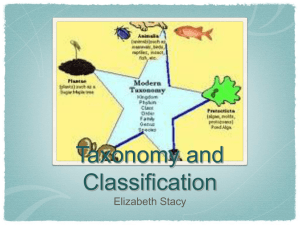 Taxonomy and Classification Elizabeth Stacy