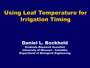 Using Leaf Temperature for Irrigation Timing Daniel L. Bockhold Graduate Research Assistant