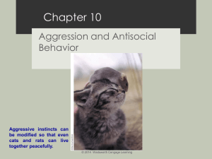 Chapter 10 Aggression and Antisocial Behavior Aggressive instincts can