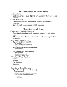 An Introduction to Articulations Classification of Joints   Articulations