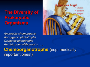 The Diversity of Prokaryotic Organisms Chemoorganotrophs