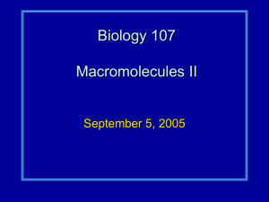 Biology 107 Macromolecules II September 5, 2005