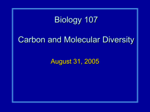 Biology 107 Carbon and Molecular Diversity August 31, 2005