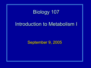 Biology 107 Introduction to Metabolism I September 9, 2005