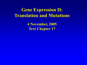 Gene Expression II: Translation and Mutations 4 November, 2005 Text Chapter 17