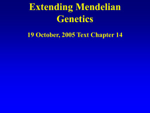 Extending Mendelian Genetics 19 October, 2005 Text Chapter 14