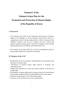 Summary of the National Action Plan for the