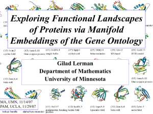 Exploring Functional Landscapes of Proteins via Manifold Embeddings of the Gene Ontology