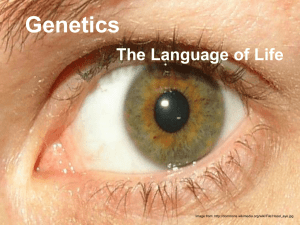 Genetics The Language of Life Image from: