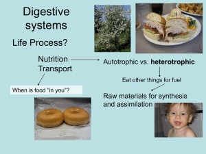 Digestive systems Life Process? Nutrition