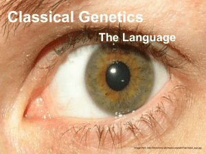 Classical Genetics The Language Image from:
