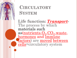 C S Life function: Transport