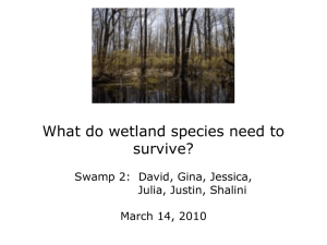 What do wetland species need to survive? Julia, Justin, Shalini