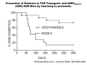 Prevention of Diabetes in TCR Transgenic anti-IGRP 206-214