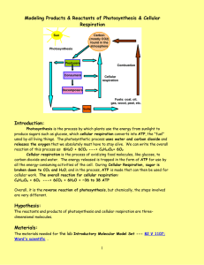 Modeling Products &amp; Reactants of Photosynthesis &amp; Cellular Respiration  Introduction: