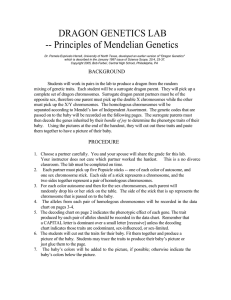 DRAGON GENETICS LAB -- Principles of Mendelian Genetics