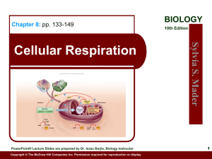 Cellular Respiration Sylv ia S.