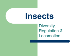Insects Diversity, Regulation &amp; Locomotion