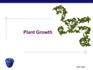 Plant Growth AP Biology 2007-2008