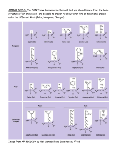 AMINO ACIDS- You DON’T have to memorize them all, but... structure of an amino acid,  and be able to...