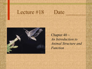 Lecture #18 Date _______ Chapter 40 ~ An Introduction to