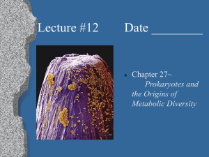 Lecture #12        Date... Chapter 27~ Prokaryotes and the Origins of