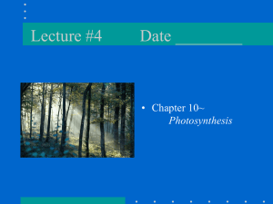 Lecture #4 Date ________ • Chapter 10~ Photosynthesis