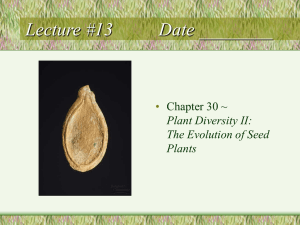 Lecture #13         ... • Chapter 30 ~ Plant Diversity II: